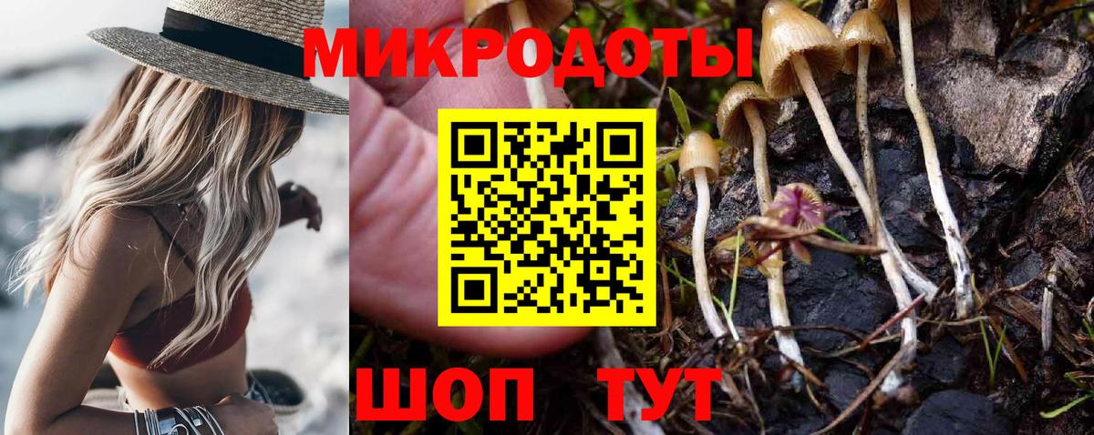 Обь  Псилоцибиновые грибы Psilocybine cubensis  Вход с VPN 